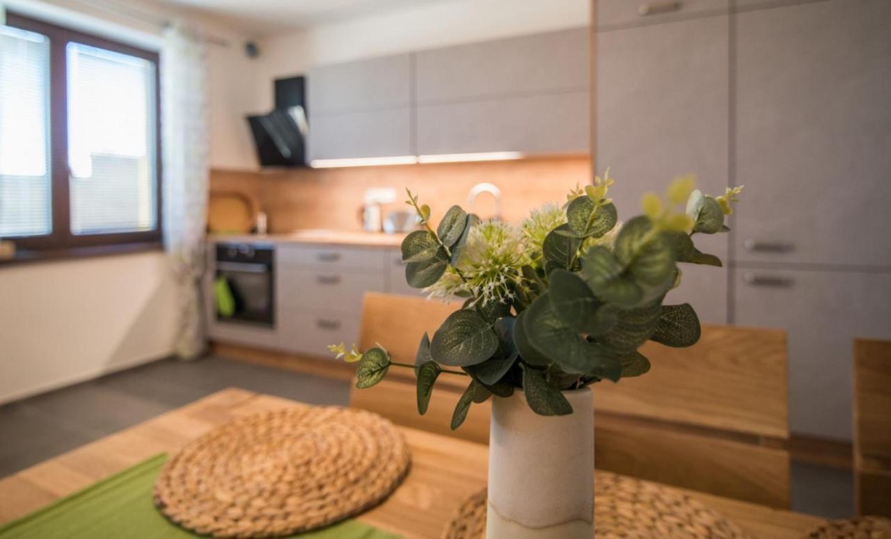 Apartamento Astra Lipno Frymburk Exterior foto